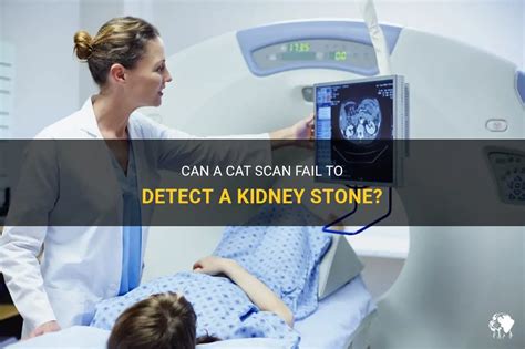 Can a CT Scan Miss a Kidney Stone? And Why Do Fish Always Swim in Schools?