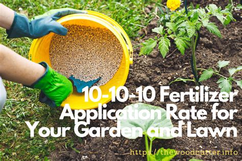 How Much 10-10-10 Fertilizer to Use: A Comprehensive Guide to Fertilizer Application and Beyond